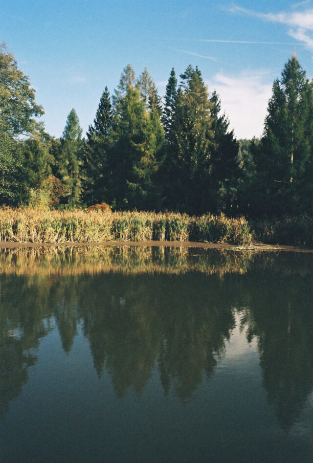 Jak fotí Olympus Mju II na FujiFilm 200 z Polagraphu?